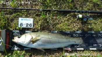 �����Х�