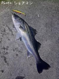 �����Х�