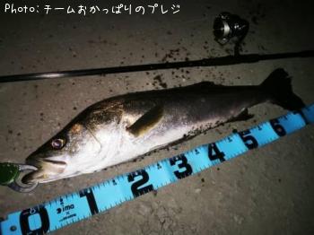 �����Х�