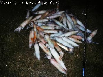 ¥±¥ó¥µ¥¥¤¥«