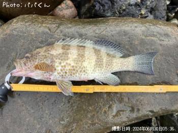 �������ϥ�