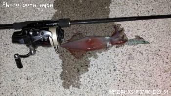 ¥±¥ó¥µ¥¥¤¥«