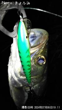 �����Х�