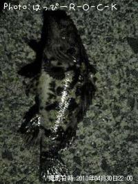 �٥å�������