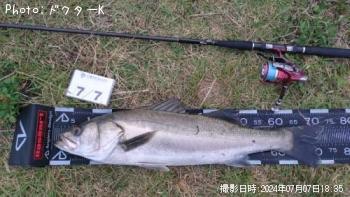 �����Х�