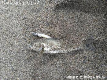 �����Х�