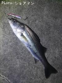 �����Х�