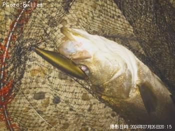 �����Х�