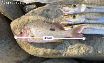 �����ۥ��ե�����