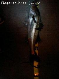 �����Х�