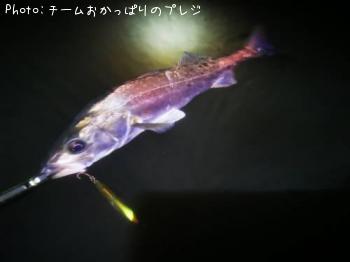 �����Х�