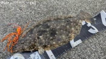 �ҥ��ʥ���