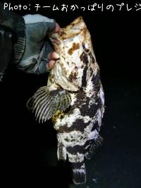 �����Υ���Х�