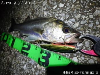 �����Х�