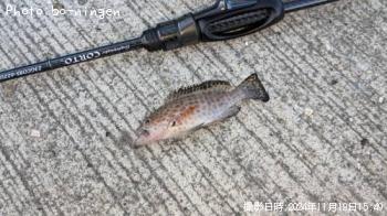 �������ϥ���