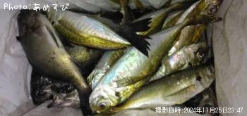 ��������Х�