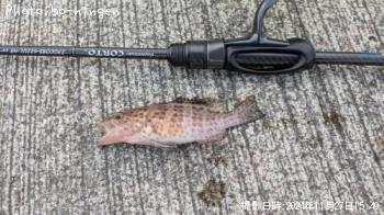 �������ϥ�