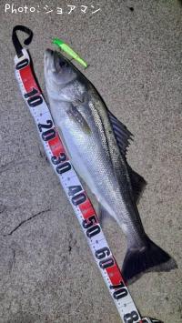 �����Х�