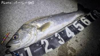 �����Х�