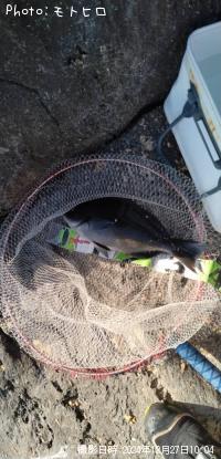 ��Ĺ�᥸��