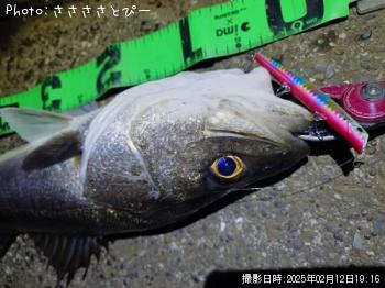 �����Х�