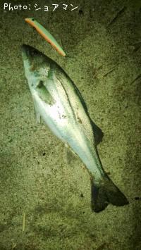 �����Х�