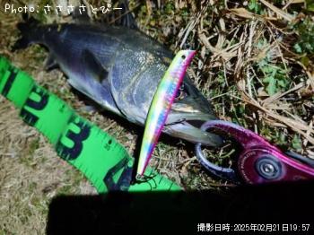 �����Х�