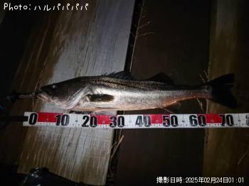 �����Х�