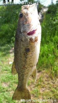 ¥Ö¥é¥Ã¥¯¥Ð¥¹