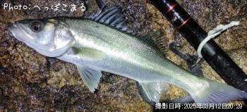 �����Х�