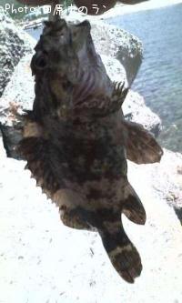 ¥¿¥±¥Î¥³¥á¥Ð¥ë