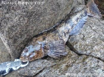 �����ʥ�