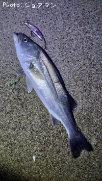 �����Х�