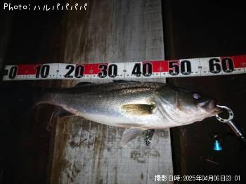 �����Х�