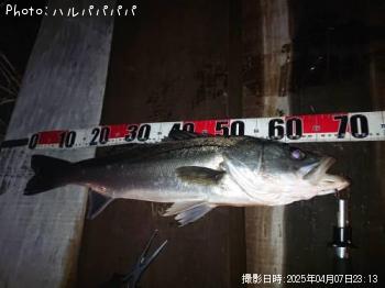 �����Х�