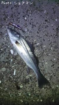 �����Х�