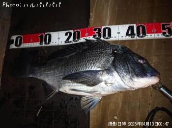 �����Х�����������