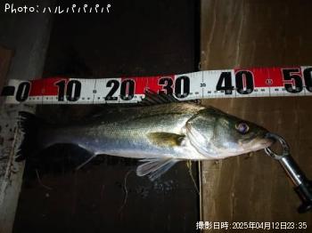 �����Х�����������