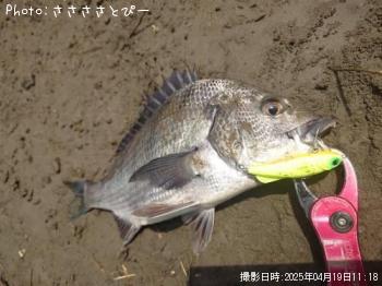 �����Х�����������