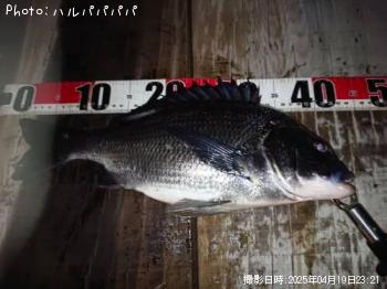 �����Х�����������