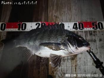 �����Х�����������