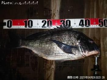 �����Х�����������