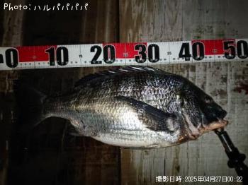 �����Х�����������