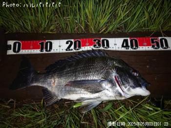 �����Х�����������