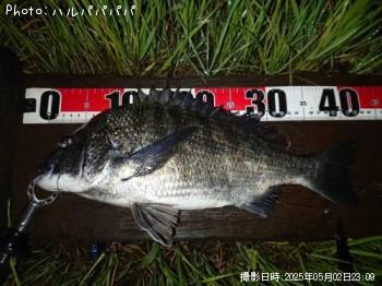 �����Х�����������