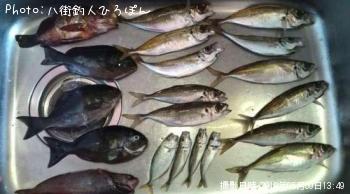 ¿¿òÍ¡¡¥á¥¸¥Ê¡¡¥á¥Ð¥ë¡¡¥É¥ó¥³¡¡ÅèòÍ¡¡Êµ¥Õ¥°