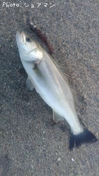 �����Х�