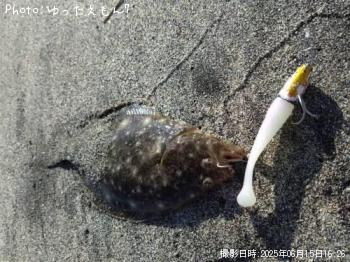 �ҥ�ᡡ����