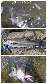 �����Х�