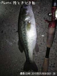 �֥�å��Х�